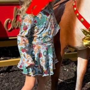 Lu and ro bluey Christmas cropped hooded top with skirt